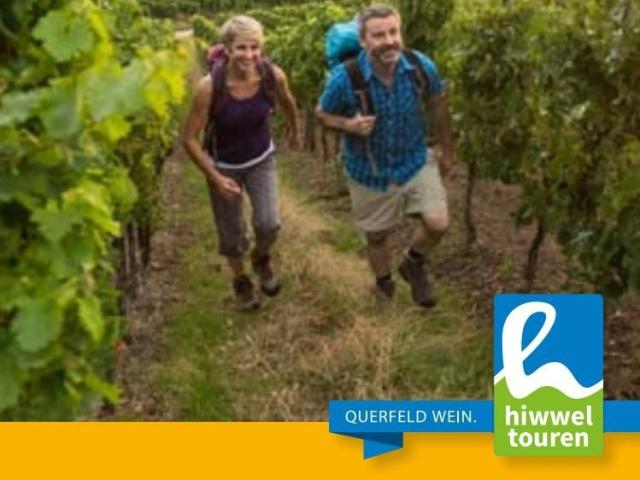 Rheinhessen Wanderbuch zu verschenken - 1